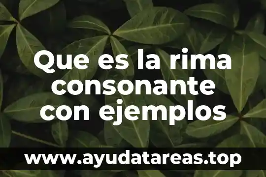 Que es rima y tipos de rima 5 Que es la rima consonante con ejemplos