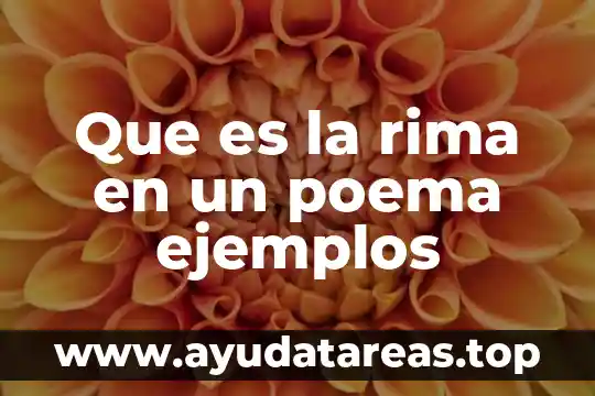 Que es rima y tipos de rima 6 Que es la rima en un poema ejemplos