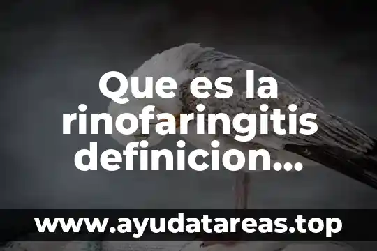 Que es la rinofaringitis definicion medica