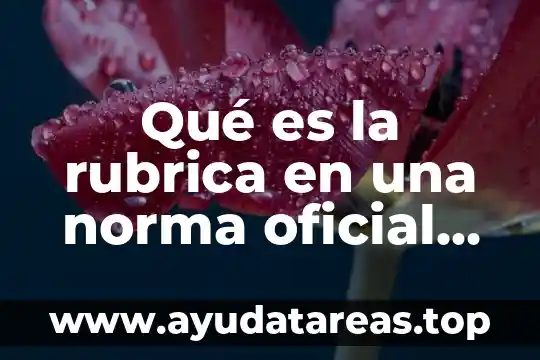 Qué es la rubrica en una norma oficial mexicana