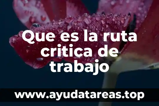 Que es mejor el dinero o el trabajo 3 Que es la ruta critica de trabajo