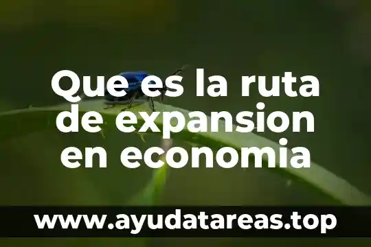 Qué es el principio de economía de movimientos 5 Que es la ruta de expansion en economia
