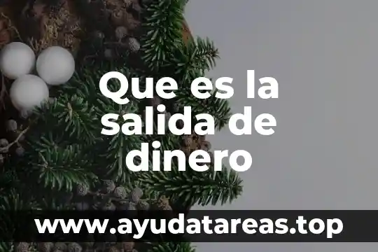 Mercado del dinero que es 5 Que es la salida de dinero