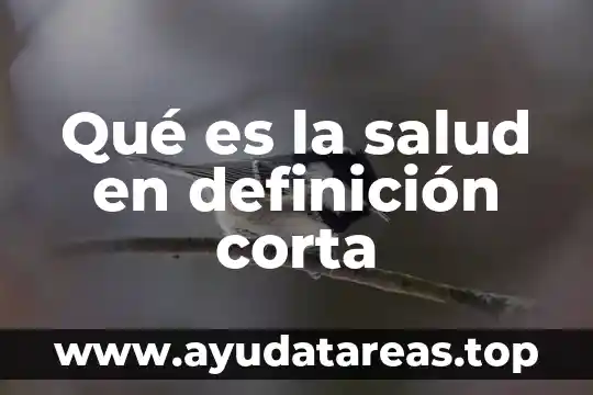 Qué es la salud en definición corta