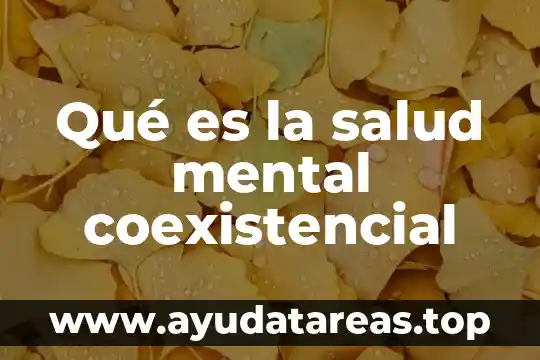 Qué es la salud mental coexistencial