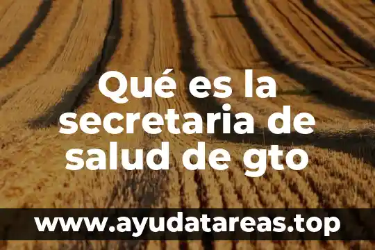 Qué es la secretaria de salud de gto