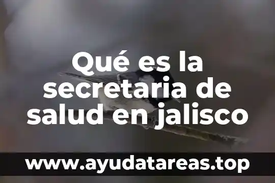 Que es baja de insumos secretaria de salud sinaloa 3 Qué es la secretaria de salud en jalisco