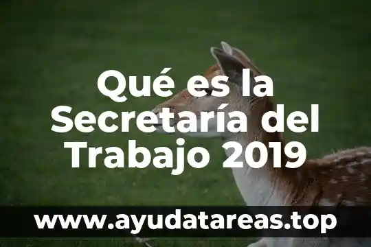 Qué es la Secretaría del Trabajo 2019