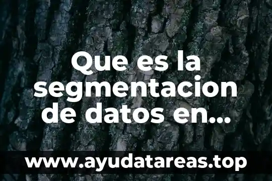 Que significa datos o que es 8 Que es la segmentacion de datos en una tabla dinamica
