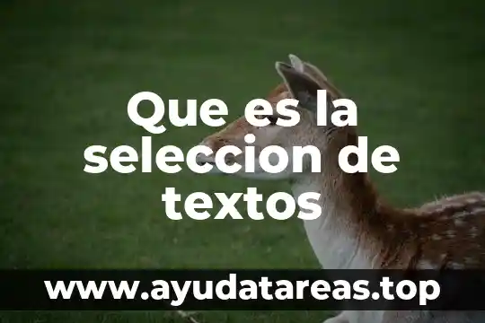 Qué es un textos apelativo 6 Que es la seleccion de textos