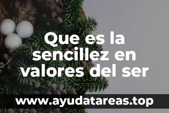 Gerente de valores que es 4 Que es la sencillez en valores del ser