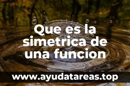 Que es la asido uriko en sangre funcion 5 Que es la simetrica de una funcion