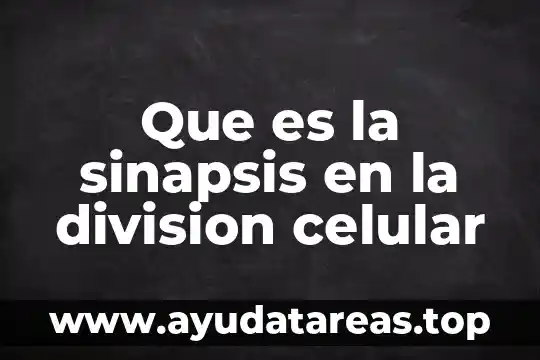 Que es la sinapsis en la division celular