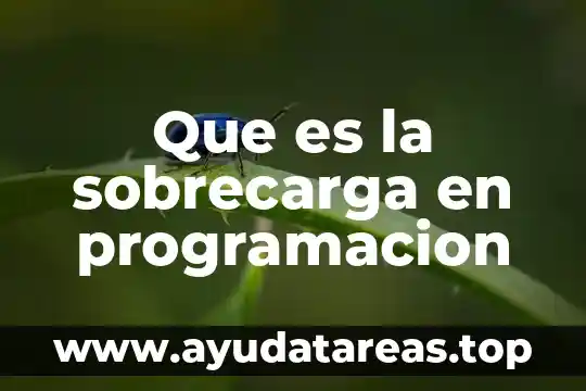 Programacion que es bandera 6 Que es la sobrecarga en programacion