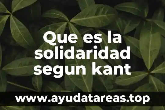Que es la solidaridad segun kant