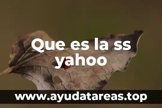 Que es principio de pascal yahoo 8 Que es la ss yahoo