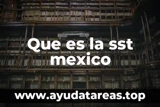 Que es la sst mexico