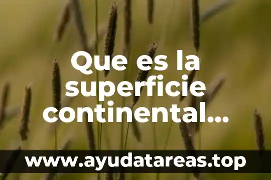 Qué es la superficie de una figura Yahoo 3 Que es la superficie continental ejemplos