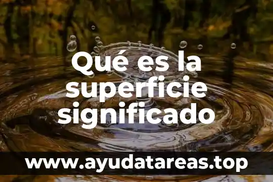 Qué es una madriguera significado 3 Qué es la superficie significado