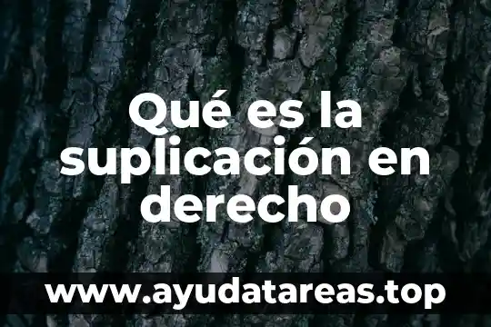Qué es la suplicación en derecho