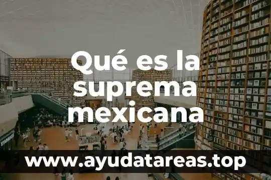Qué es y cómo funciona la Suprema Corte de Justicia 3 Qué es la suprema mexicana