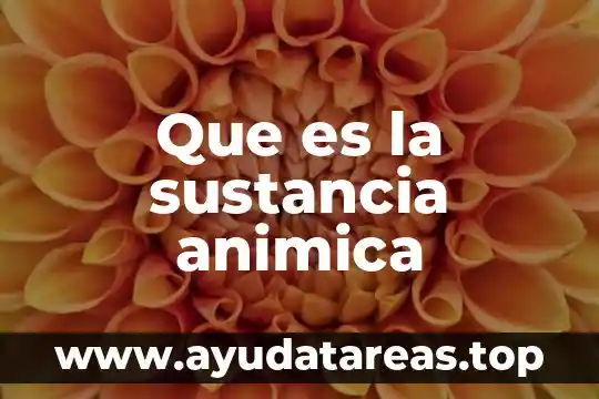 Que es una sustancia simple ejemplos 3 Que es la sustancia animica