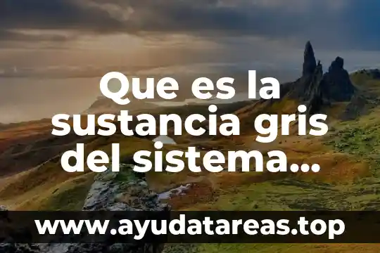 Que es el sistema nervioso y como esta compuesto 5 Que es la sustancia gris del sistema nervioso