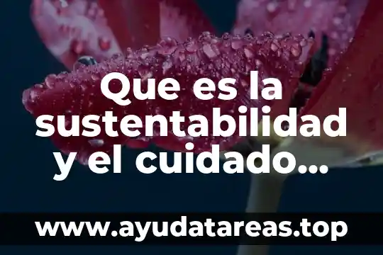 Que es la sustentabilidad y el cuidado del medio ambiente