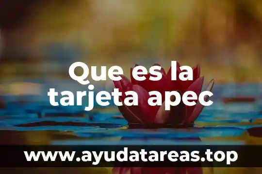 Que es la tarjeta apec