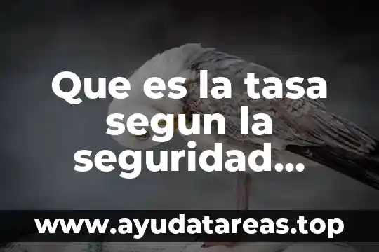 Que es capital social y u ejemplo 8 Que es la tasa segun la seguridad social