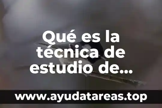 Que es una tecnica de cepillado de dientes 5 Qué es la técnica de estudio de organiza el estudio