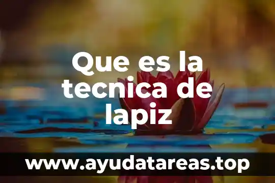 Que es la tecnica de lapiz