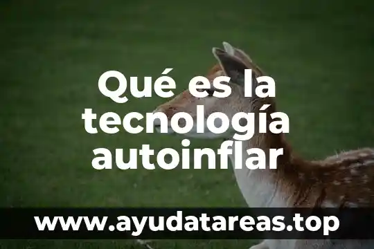 Que es la tecnologia nfc de sony 4 Qué es la tecnología autoinflar
