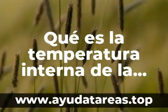 Qué es la temperatura interna de la tierra