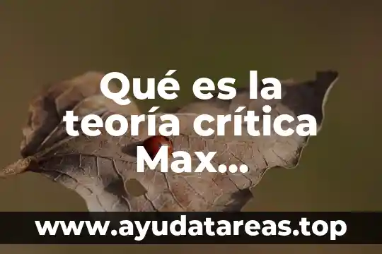 Qué es el estado según Max Weber 3 Qué es la teoría crítica Max Horkheimer