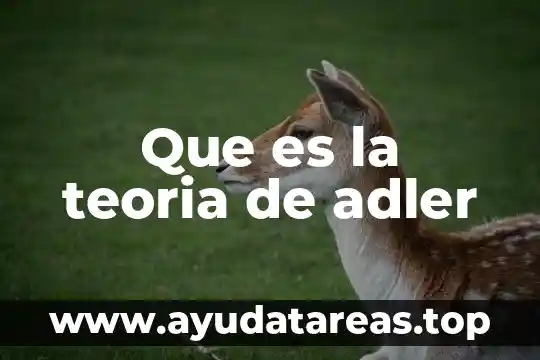 Que es la teoria de adler
