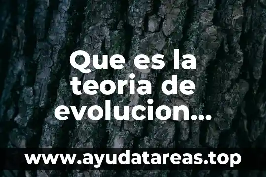 Qué es un positrón en química 7 Que es la teoria de evolucion quimica