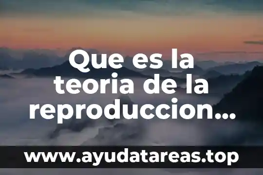 Teoria de kindling que es 7 Que es la teoria de la reproduccion marxista