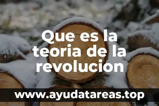 Que es la teoria de la revolucion