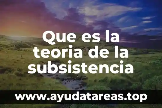 Que es la teoria de la subsistencia