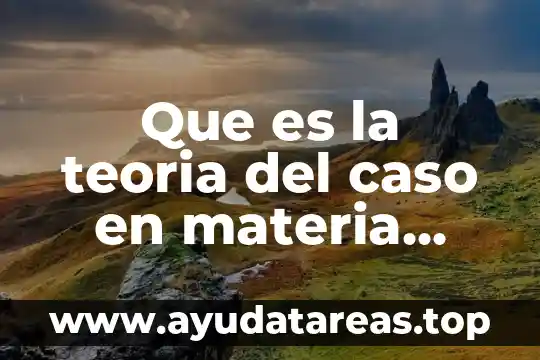 Que es la teoria del caso en materia penal