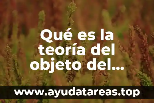 Qué es la teoría del objeto del estado