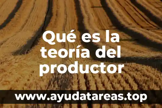 Qué es la teoría del productor