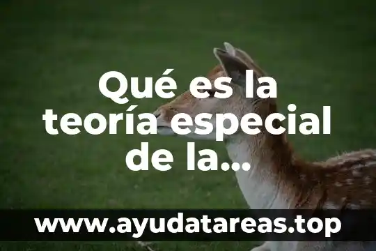 Qué es la teoría especial de la relatividad