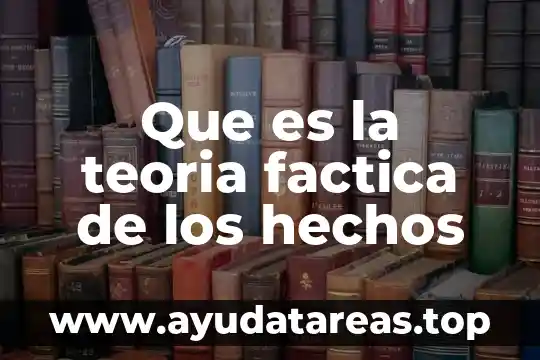 Que es la teoria factica de los hechos