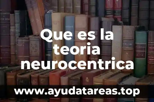Que es la teoria neurocentrica