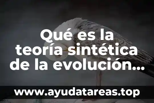 Qué es la teoría sintética de la evolución biología