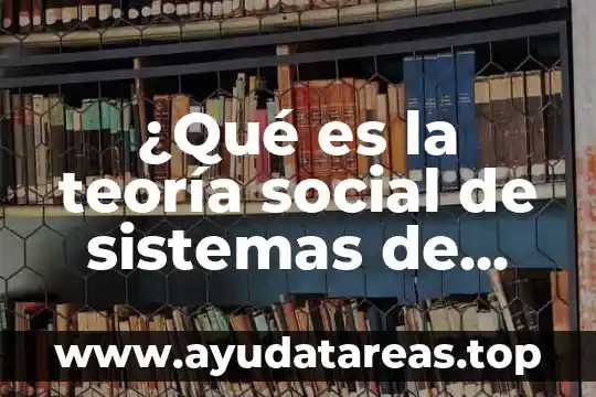 ¿Qué es la teoría social de sistemas de Luhmann resumen?