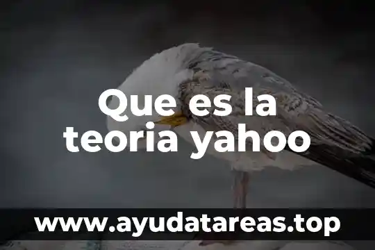 Que es la teoria yahoo