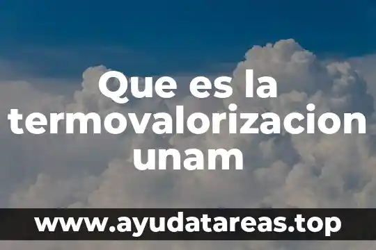 Que es la termovalorizacion unam